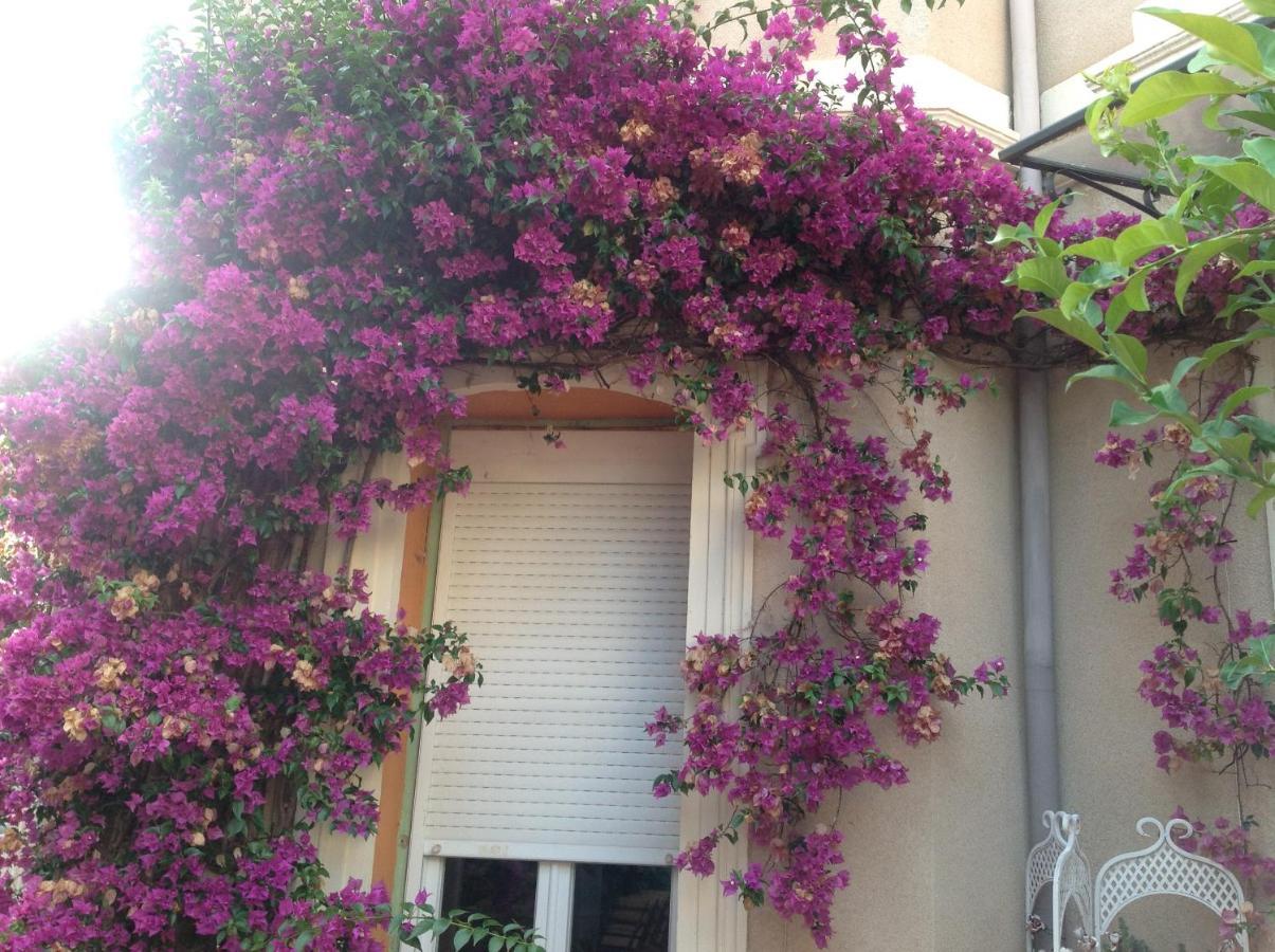 A l'ombre du cedre Hotel Hyères Exterior foto